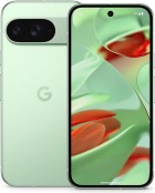 Google Pixel 9 vendre